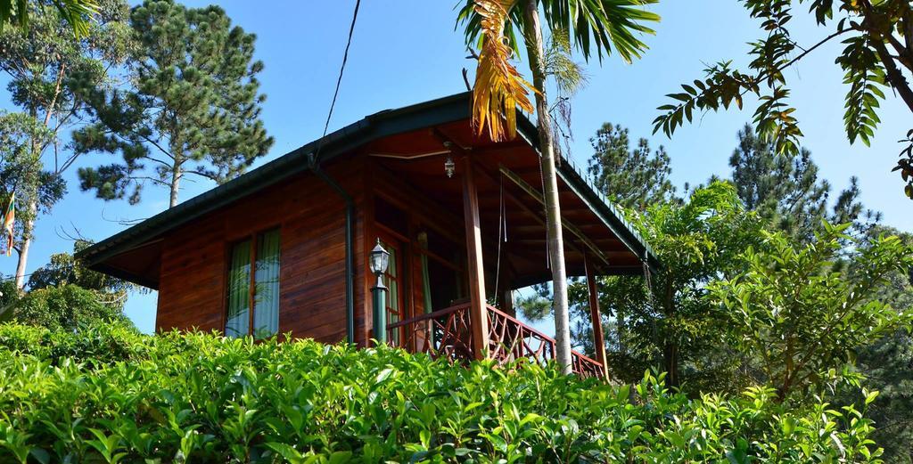Ella Mount Relax Cottage Ngoại thất bức ảnh